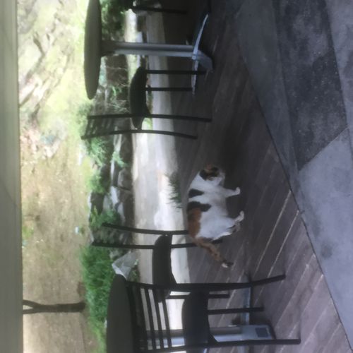 서울대 모아아트 사진