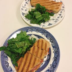 이대 카페 더 파니니
